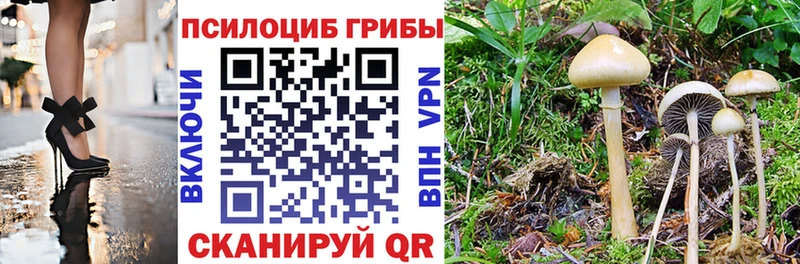 Галлюциногенные грибы MAGIC MUSHROOMS  Великий Устюг 